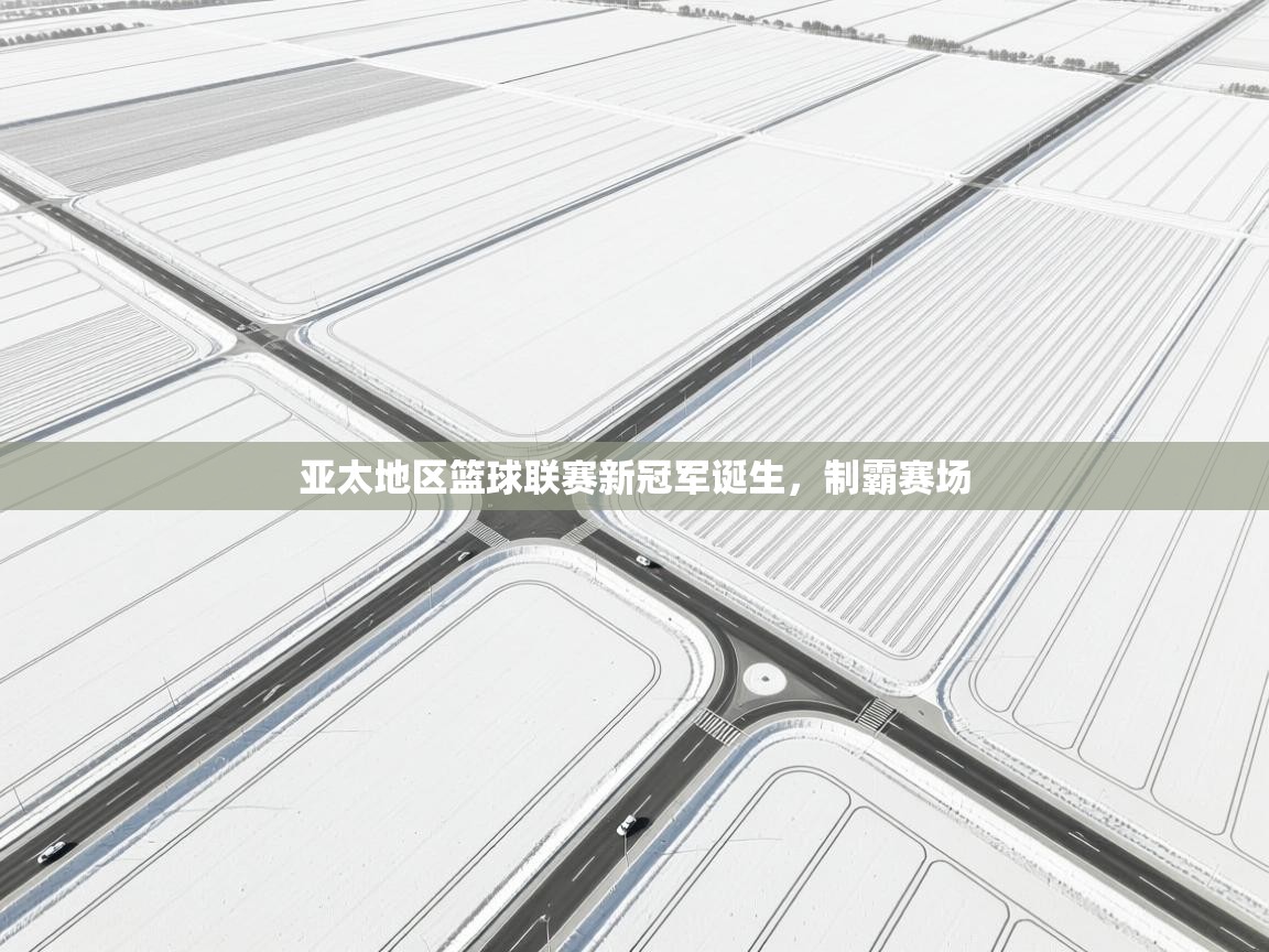 云开体育app官网登录入口-亚太地区篮球联赛新冠军诞生,制霸赛场 第1张