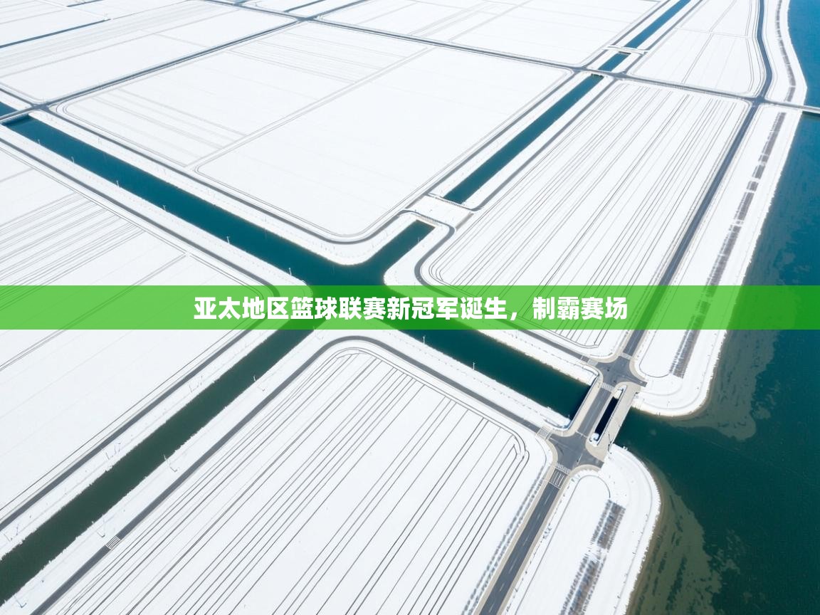 云开体育app官网登录入口-亚太地区篮球联赛新冠军诞生,制霸赛场 第4张