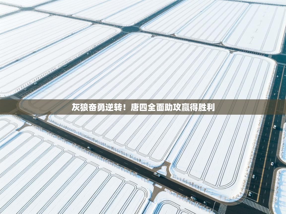 开云体育无法登录解决方案-灰狼奋勇逆转！唐四全面助攻赢得胜利  第3张