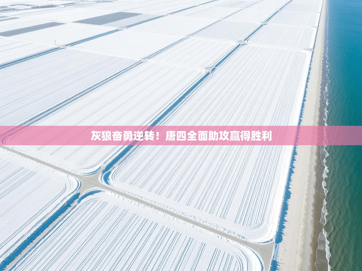 开云体育无法登录解决方案-灰狼奋勇逆转！唐四全面助攻赢得胜利  第4张