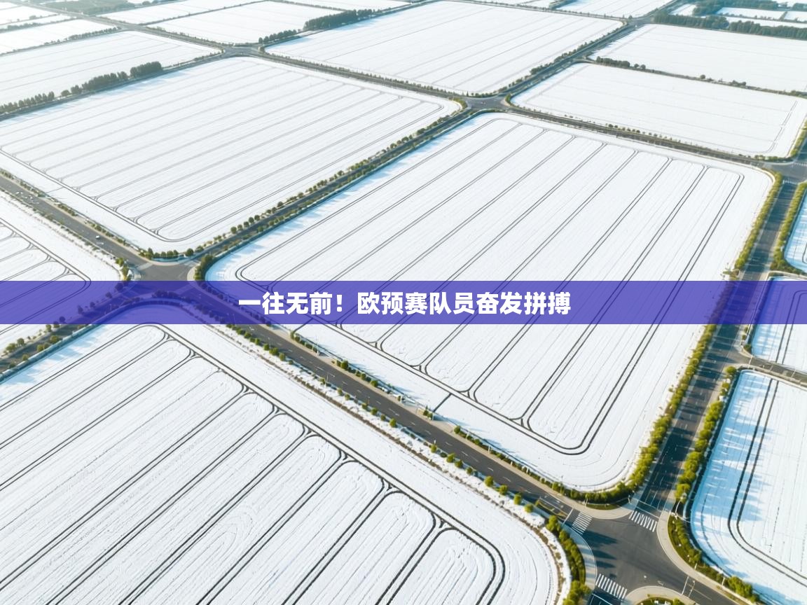 开云下载-一往无前!欧预赛队员奋发拼搏 第1张