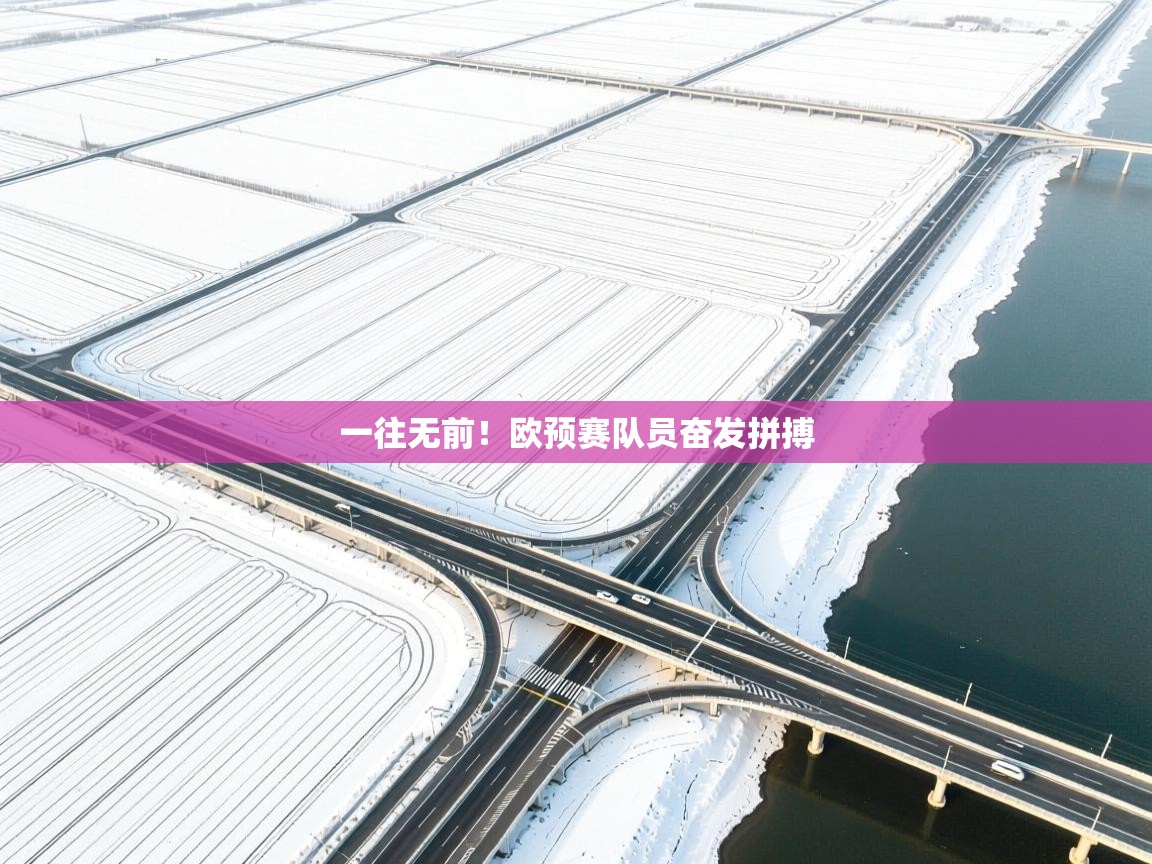 开云下载-一往无前!欧预赛队员奋发拼搏 第3张