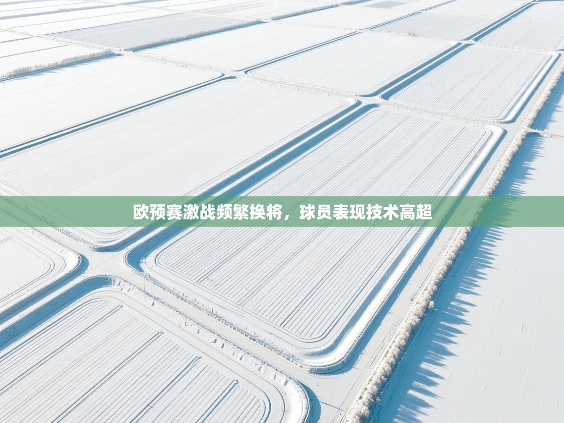 开云体育在线入口-欧预赛激战频繁换将，球员表现技术高超  第3张
