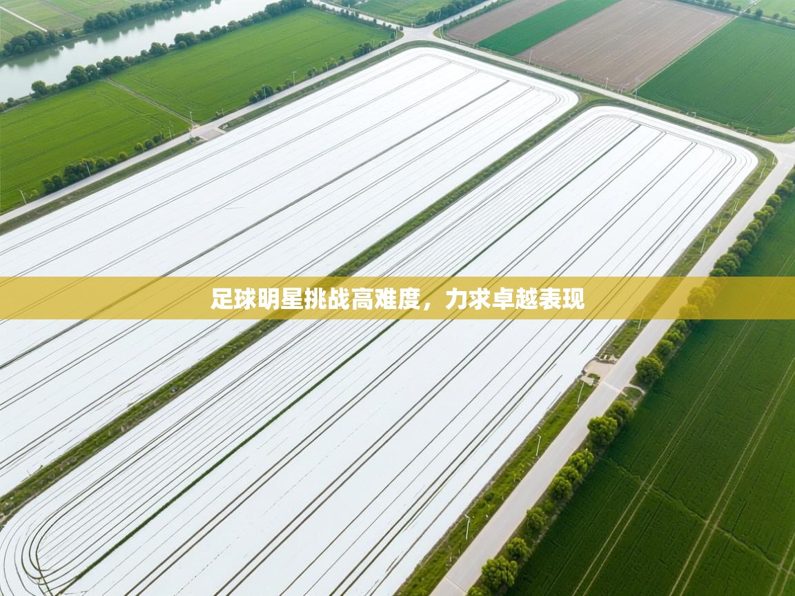 开云体育新人指引-足球明星挑战高难度，力求卓越表现  第2张